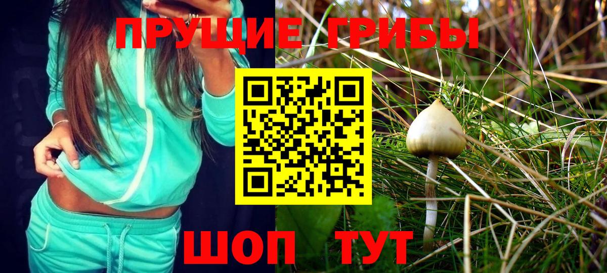 Псилоцибиновые грибы MAGIC MUSHROOMS  Псилоцибиновые грибы мухоморы  Будённовск  Вход с VPN 