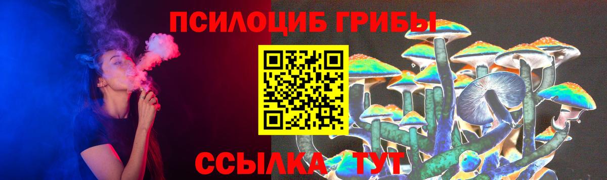 Галлюциногенные грибы GOLDEN TEACHER Будённовск